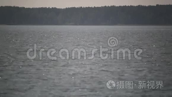 夏天平静的河流视频