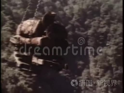 中国伐木工人在森林里劳作视频