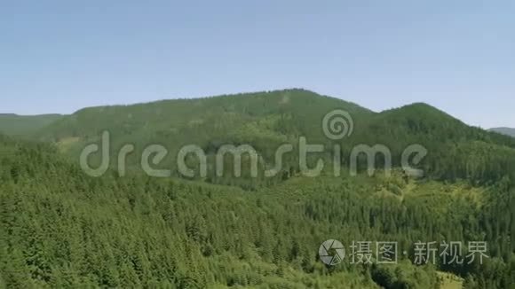 森林和山脉的空中全景。 空中录像