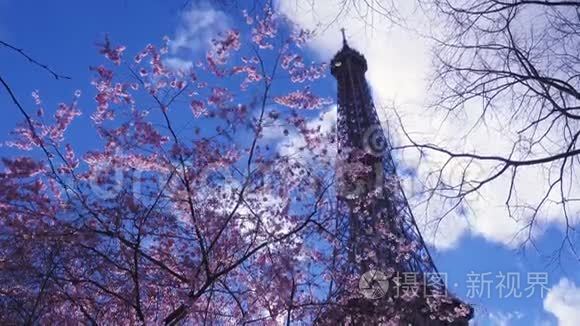 埃菲尔铁塔与樱花树视频