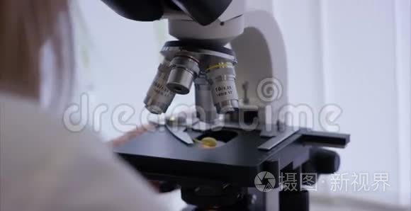 在实验室研究化学元素的严重临床医生。 显微镜镜头的特写。 显微镜玻片样品
