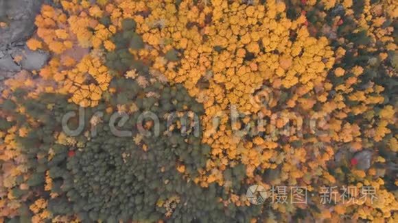 斯托尔比西伯利亚自然保护区秋季森林鸟瞰图。