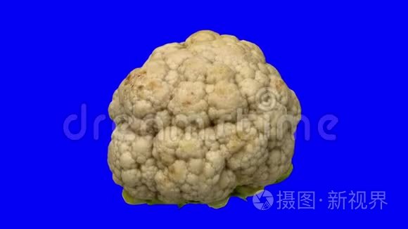 蓝底花椰菜转圈mov格式视频下载 正版视频编号0462uy 摄图新视界视频库