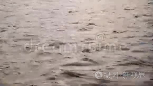 池塘上有涟漪的水面视频