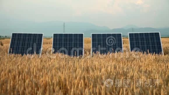 黄金场上的太阳能电池板视频