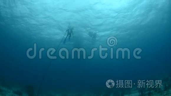 潜水员和海洋动物