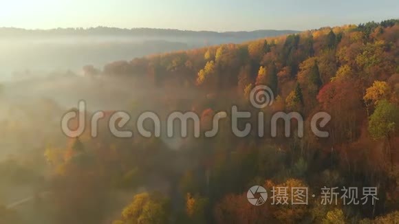 秋天美丽的雾蒙蒙的森林空中景色，有橙黄的叶子