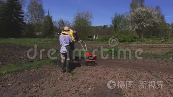 园丁在夏天处理土壤视频