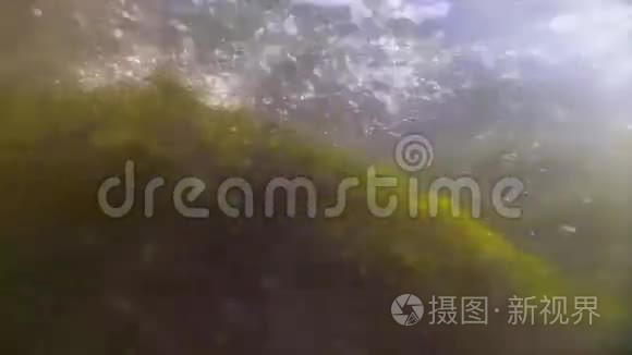 充满气泡和海藻的强大水下溪流视频