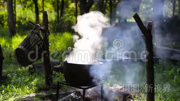 铁铸锅在明火上煮炖菜视频