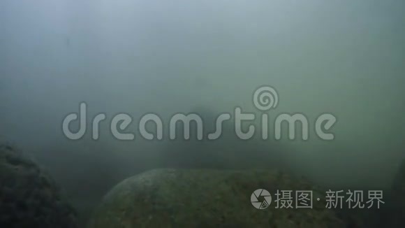 水下河流表面有颗粒和岩石流动视频