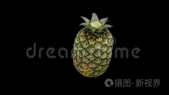关闭菠萝旋转,无缝环,与黑色短视频