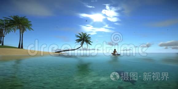 女子日光浴阳光夏日海滩放松理念。 高品质完美3D动画的蓝色热带海洋，海鸥是fl