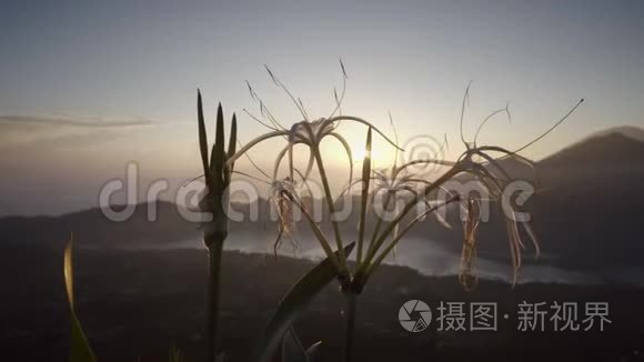 从火山顶看到美丽的景色视频