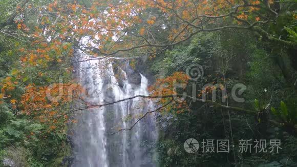 台湾新台北市三夏区秋云深瀑布视频