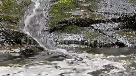 岩石上小溪流的特写视频