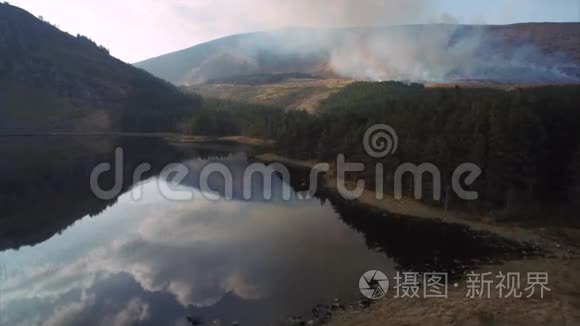 带火的湖泊和常绿森林的镜头视频