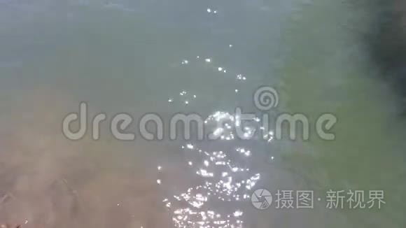 河水或湖水中的日光斑点视频