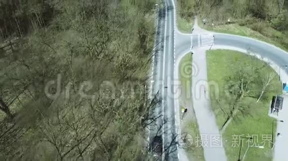 春日森林中的汽车之路视频