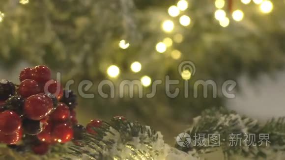 结霜圣诞树背景上的红色浆果视频