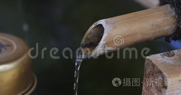 东京宜家鸿蒙寺净化槽特写视频