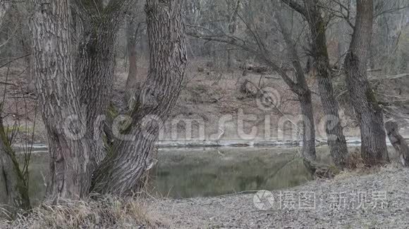 秋高气爽的早晨，湖面上第一块冰..