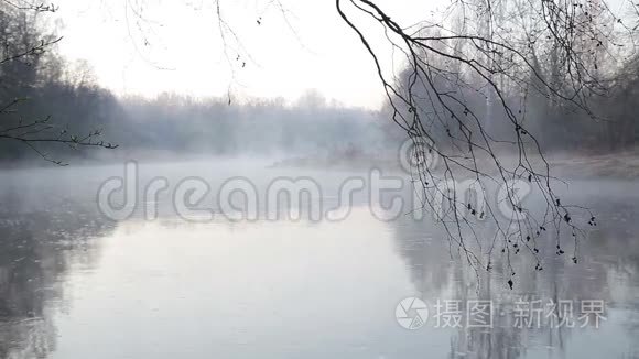 清晨在北欧春天的雾水上视频