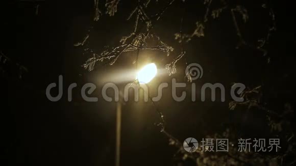冬天傍晚有灯笼的街柱视频