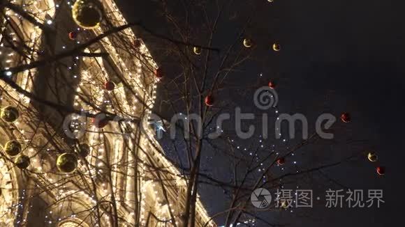 户外用冬天装饰的树视频