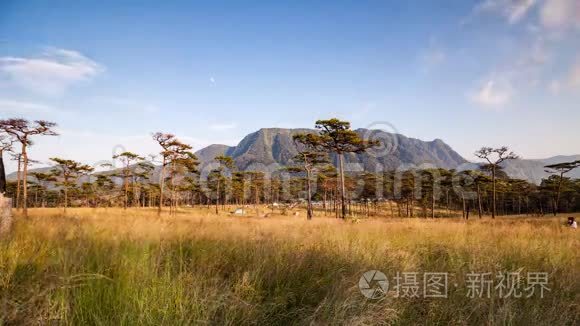 云天的时间推移，草地上有一排松树，下午有山景