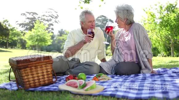 成熟的夫妇在野餐时喝葡萄酒