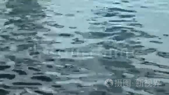 水面上美丽的倒影