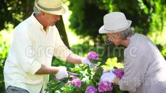 退休男子为妻子剪花