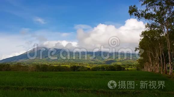 从稻田看加拿大火山