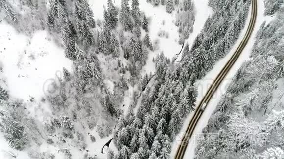 冬季汽车沿林路行驶