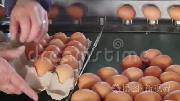 鸡场鸡蛋重量分级及包装生产线视频