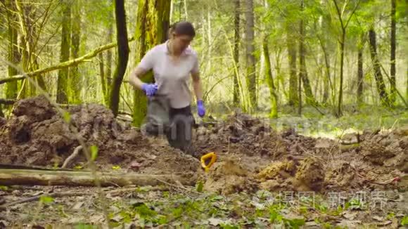 在森林里挖土缝的女生态学家视频
