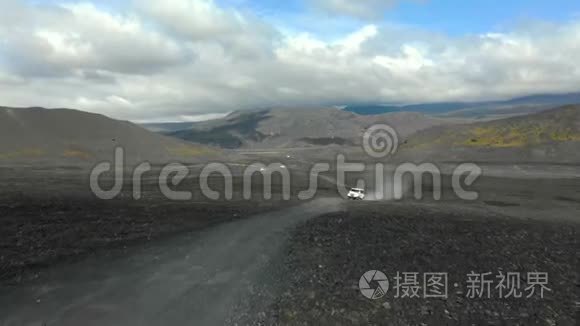 冰岛的野生动物园视频