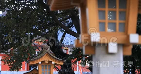 东京白天在哈纳佐诺神社的灯笼视频