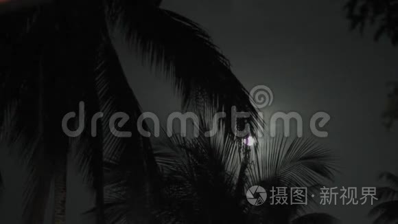 在棕榈岛的满月之夜