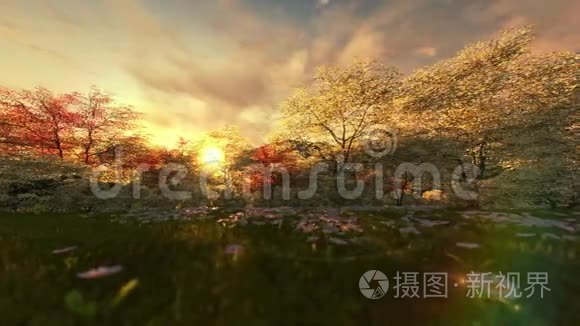 日落时的春景，相机淘洗.