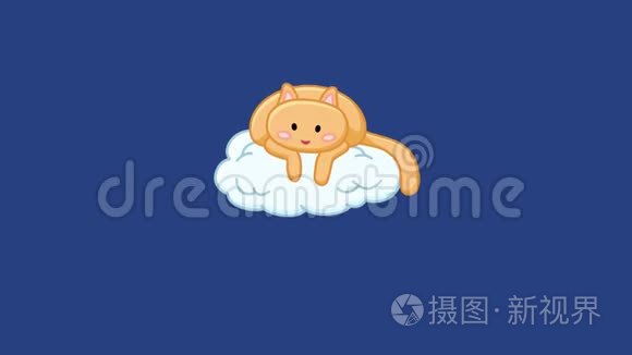 云动画上的可爱猫视频