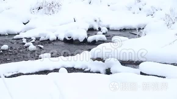 冬天的照片。 冬天的视频自然。 雪景雪中的树木。