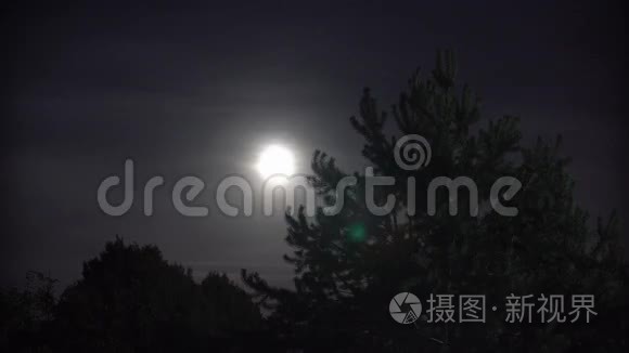 满月与夜云，大树