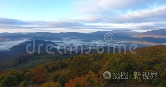 雾中秋山林鸟瞰视频