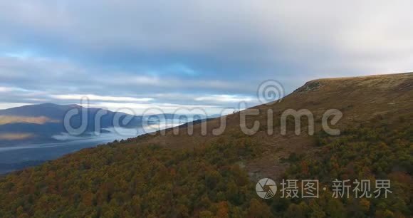 雾中秋山林鸟瞰视频