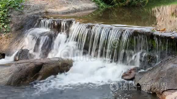 河流流经丛林视频