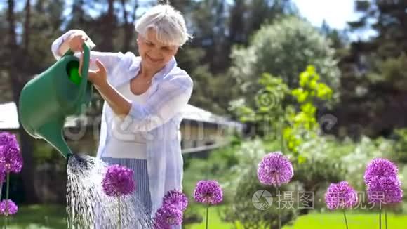 在夏园浇花的老妇人视频