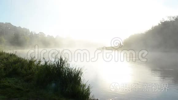 浓雾升流河水清晨日出阳光视频