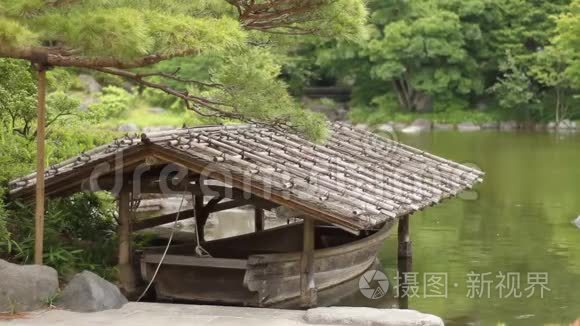 日本东京昭和金公园花园视频